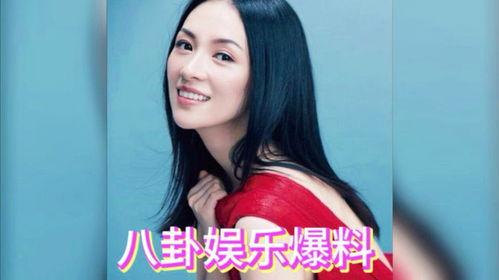 明星娱乐吃瓜酱